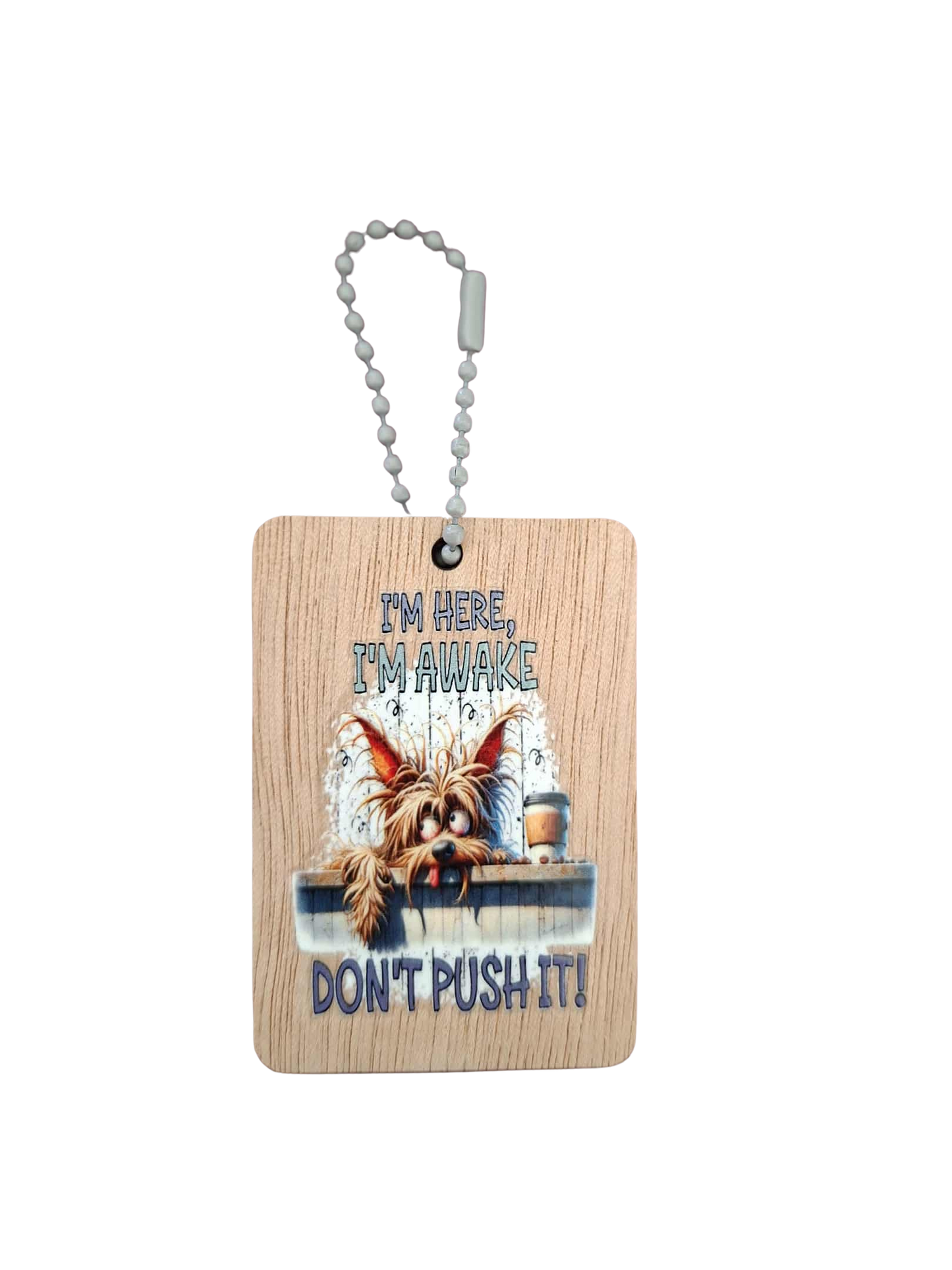Comedy Key Chain - Don't push it!