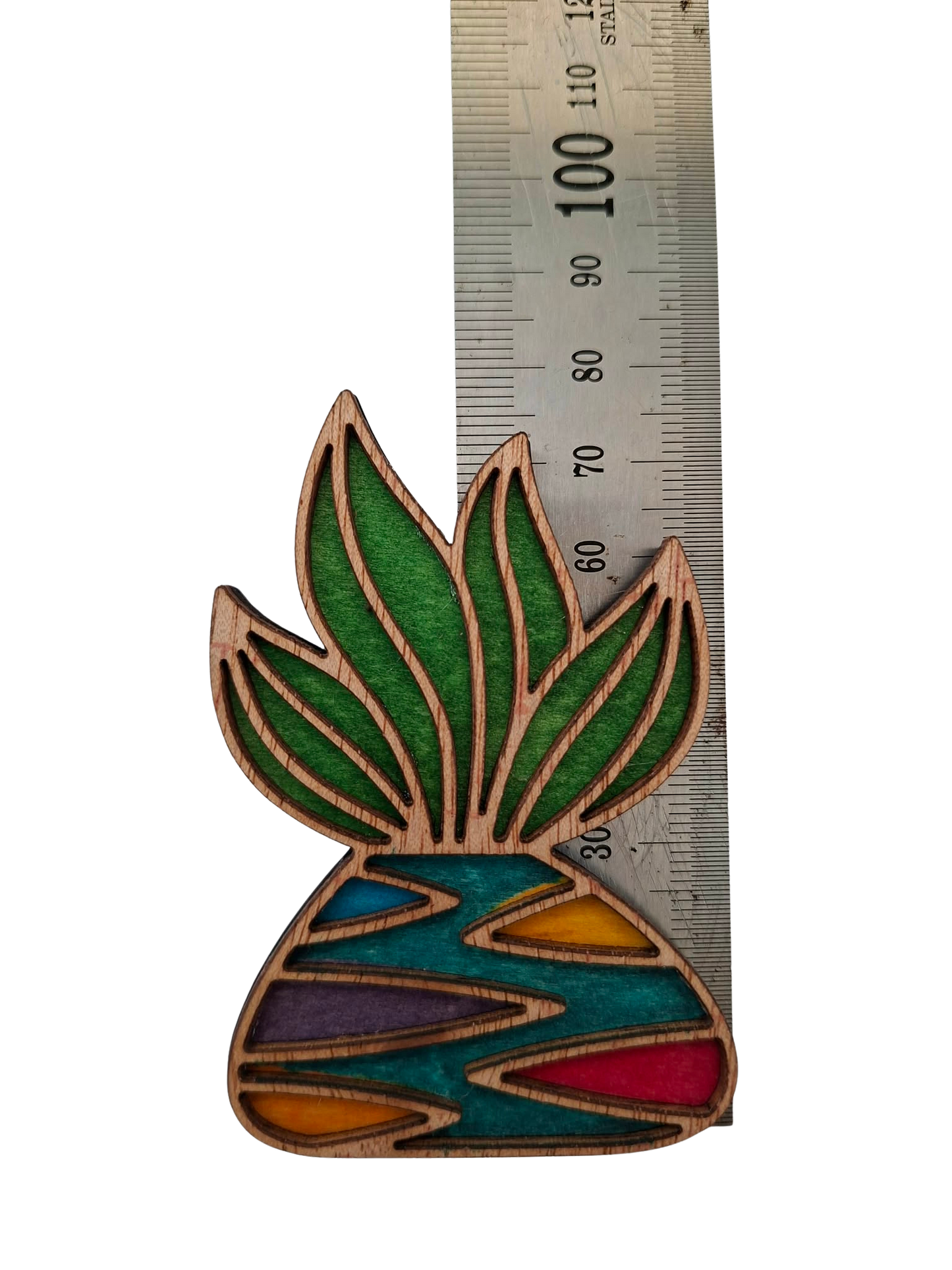 Hand coloured plant magnet