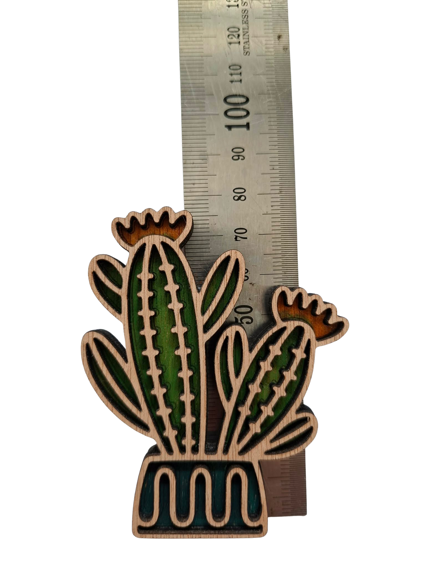 Hand coloured plant magnet