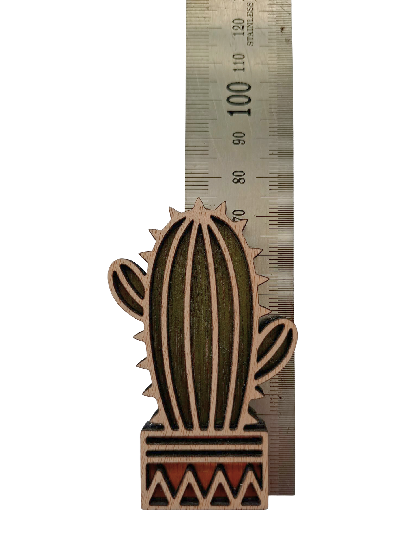 Hand coloured plant magnet