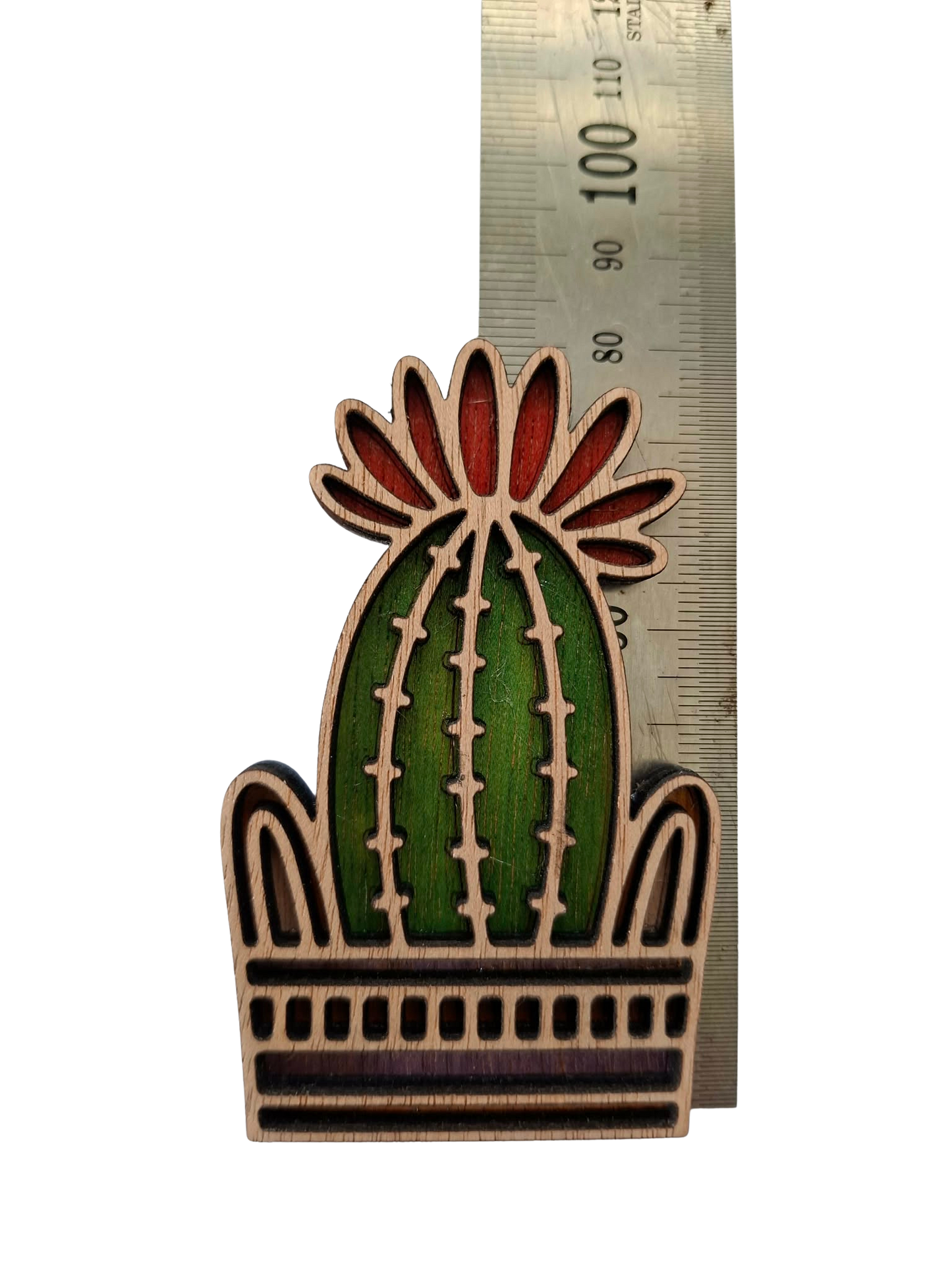 Hand coloured plant magnet