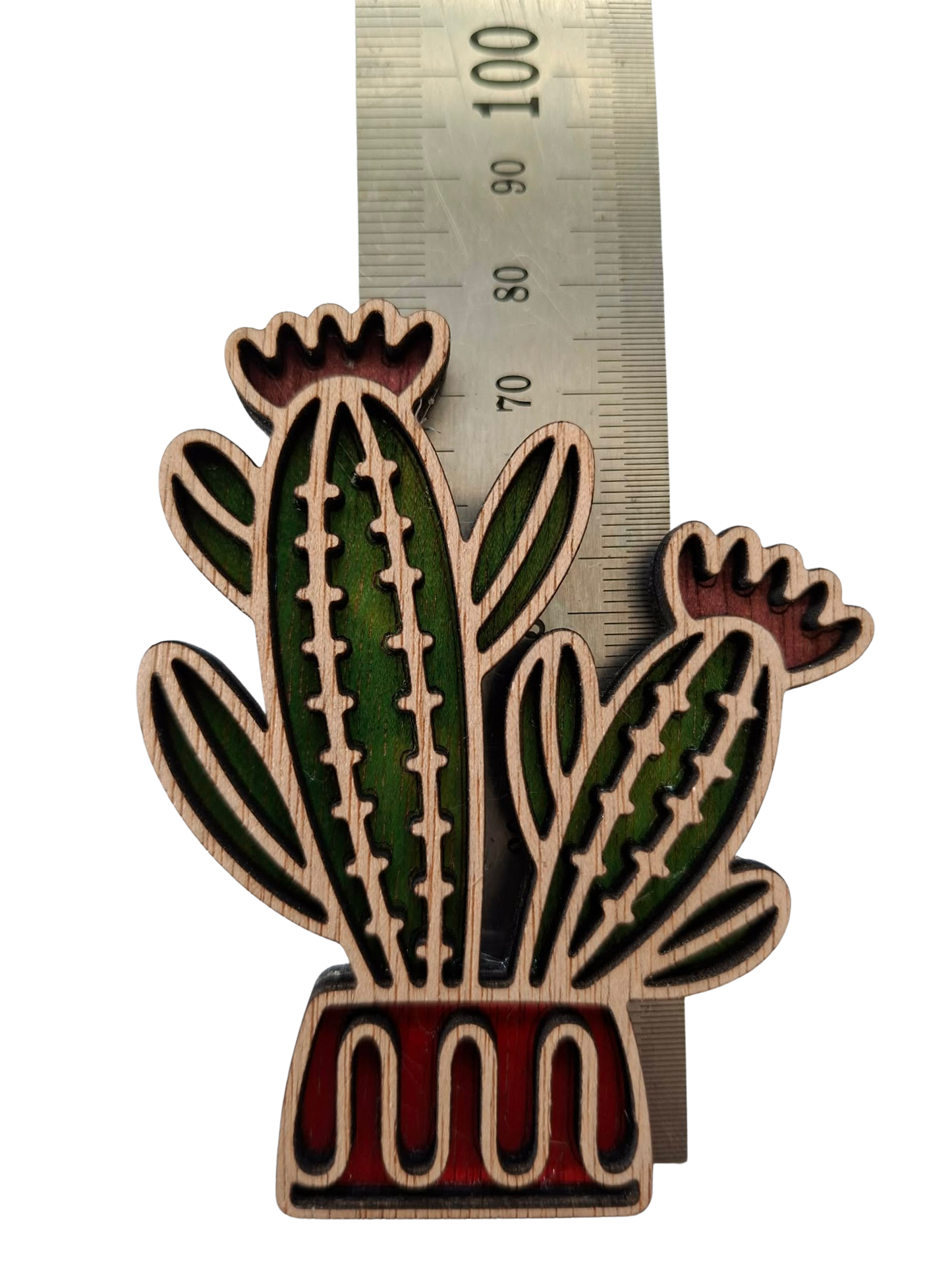 Hand coloured plant magnet