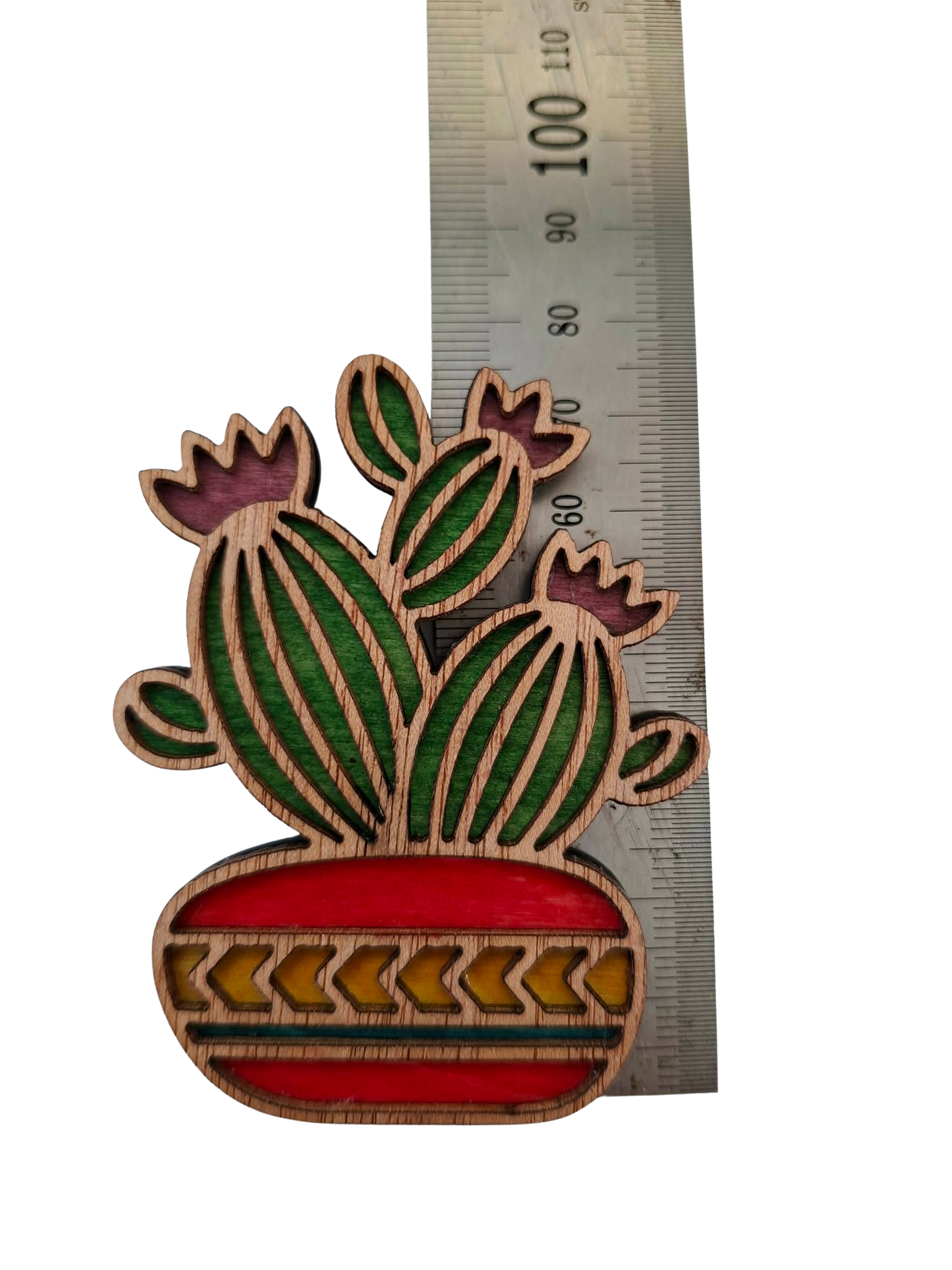 Hand coloured plant magnet
